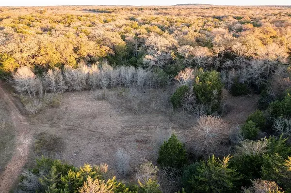 Paige, TX 78659,17 Acres - 000 Grassyville Rd