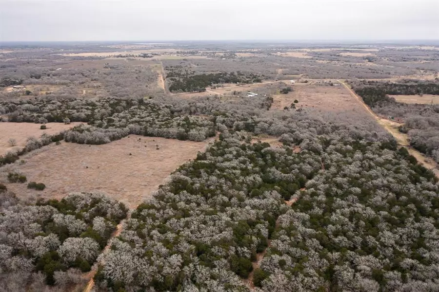 17 Acres - 000 Grassyville Rd, Paige, TX 78659