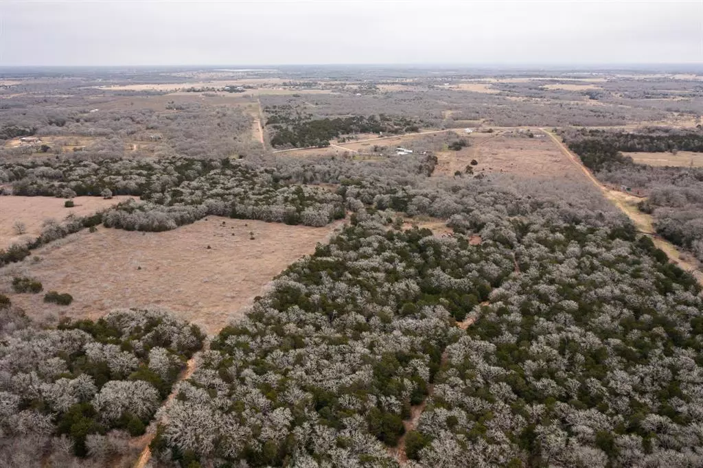 Paige, TX 78659,17 Acres - 000 Grassyville Rd