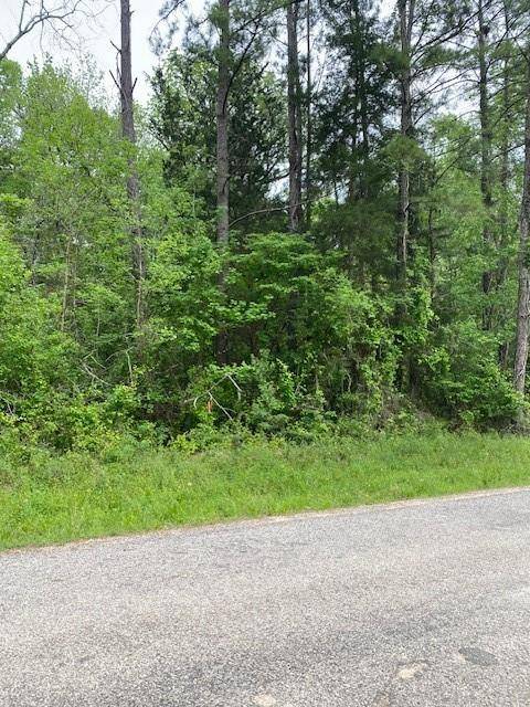 TBD Morris Creek RD, Coldspring, TX 77331