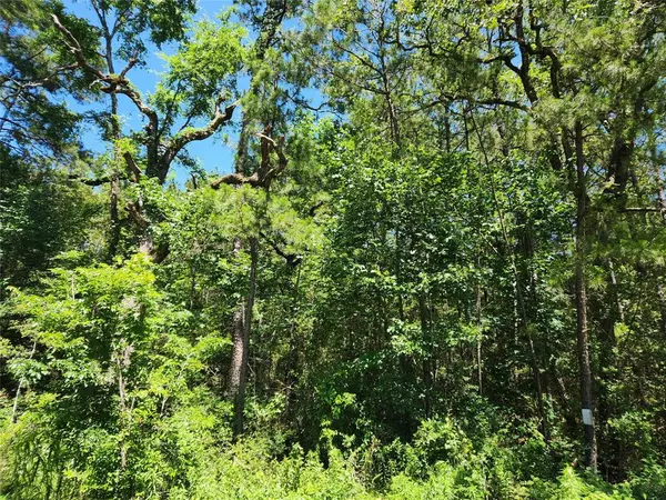 Plantersville, TX 77363,Lot 74 Pinebrook DR