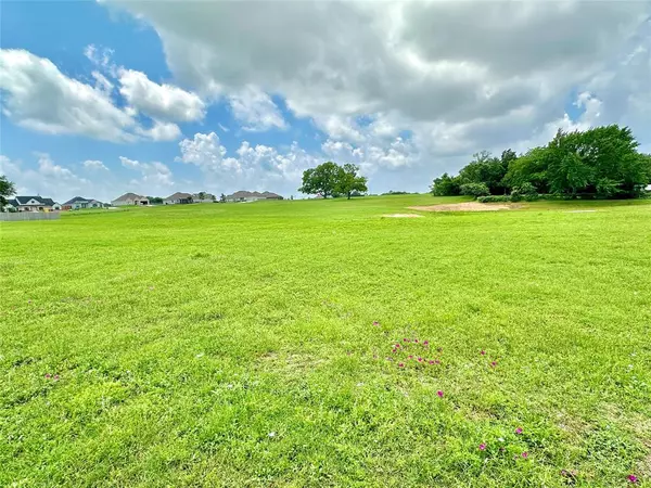 Brenham, TX 77833,2408 Oak Hollow LN