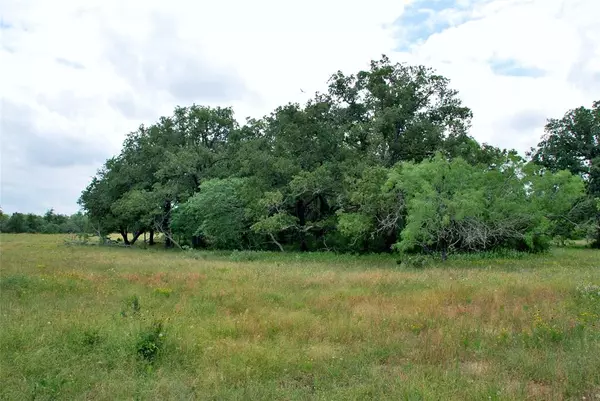 Gonzales, TX 78629,Tract 6 CR 482