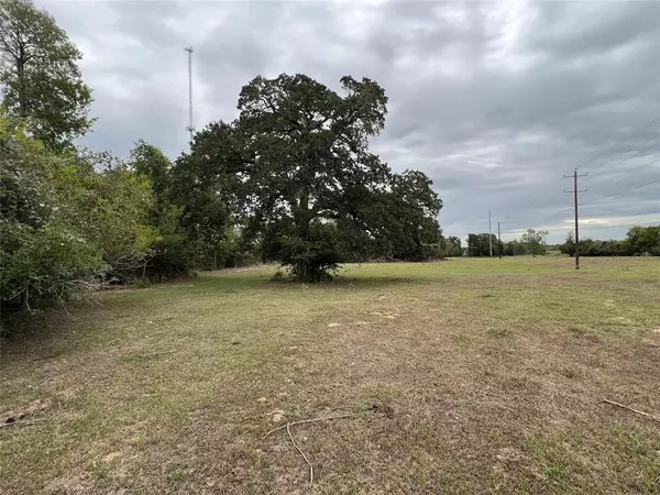 Iola, TX 77861,Lot 9 County Road 166