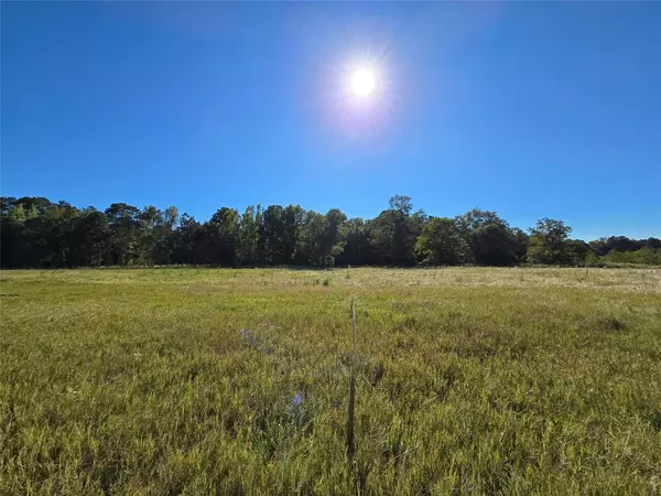 Hillister, TX 77624,Lot 131 Green Valley TRL