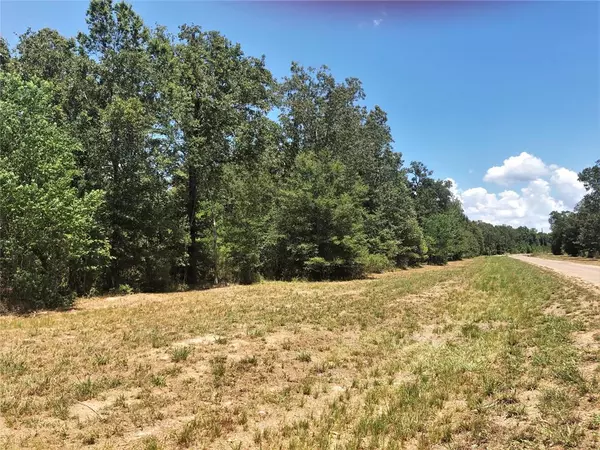 Point Blank, TX 77364,Lot 15 Somerset Trail