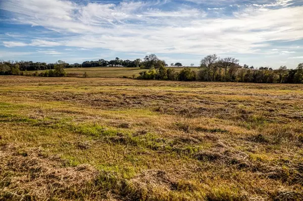 Brenham, TX 77833,Lot 5 Sandy Hill RD