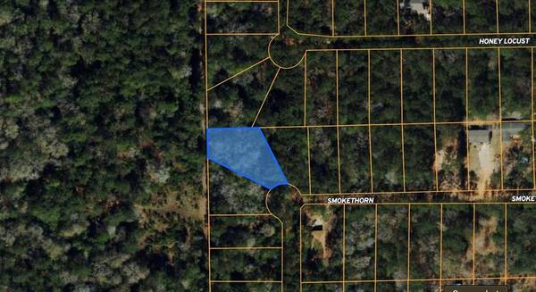 Lot 23 Smokethorn LN, Plantersville, TX 77363