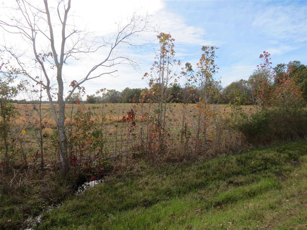 Willis, TX 77318,14010 Longstreet Road #16