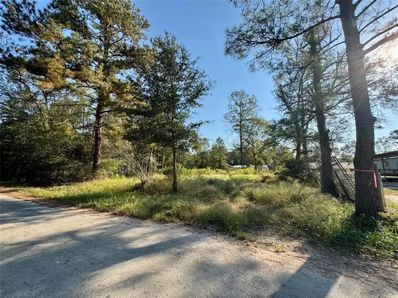 186 County Road 3251 W, Cleveland, TX 77327