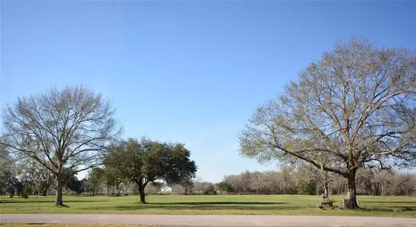 0 Riverview Ranch DR,  Brazoria,  TX 77422