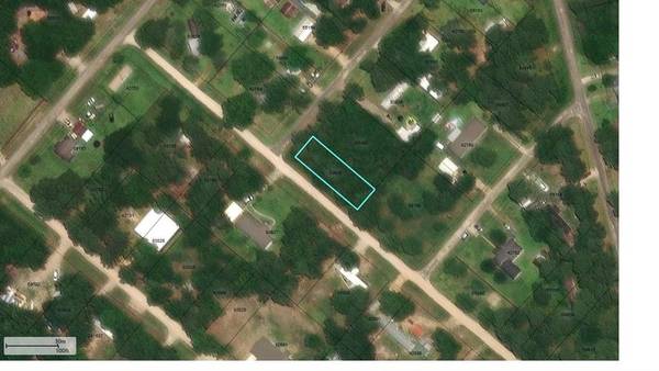 Livingston, TX 77351,102 Willy RD