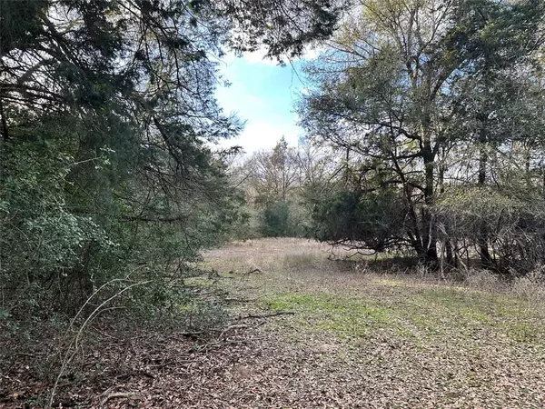 Buffalo, TX 75831,3AC CR 330