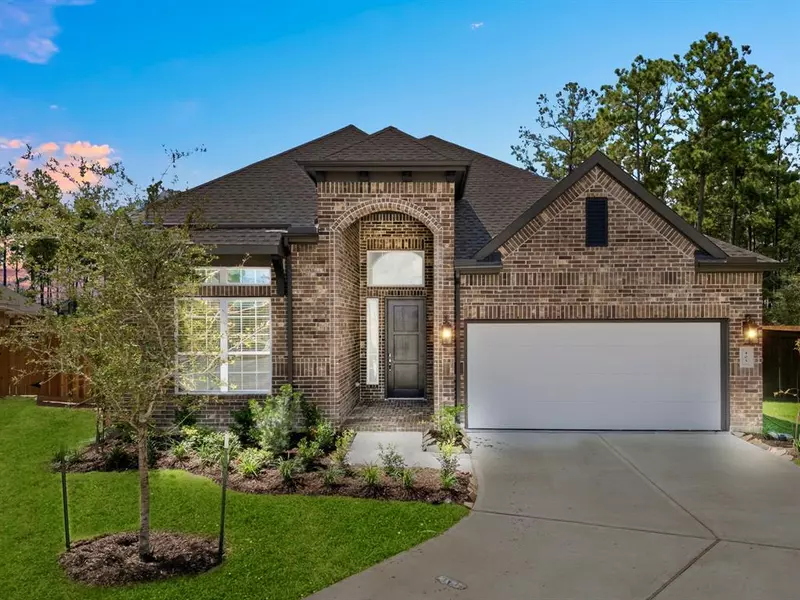 405 Emory Peak LN, New Caney, TX 77357