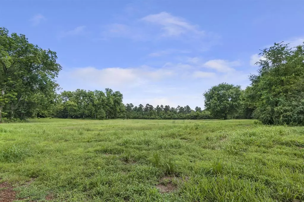 Alto, TX 75925,TBD- Lot 3 County Road 2801