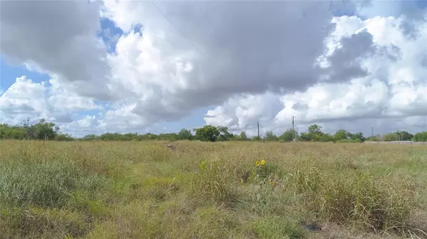 Goliad, TX 77963,TBD Hanley St Lot 2