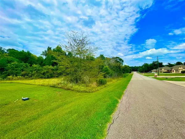 Willis, TX 77318,13296 Hidden Trail CT