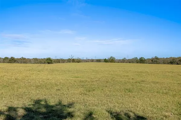 Franklin, TX 77856,5.9 AC Farm to Market 1940