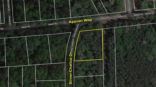 Lot 61 Appian WAY, New Caney, TX 77357