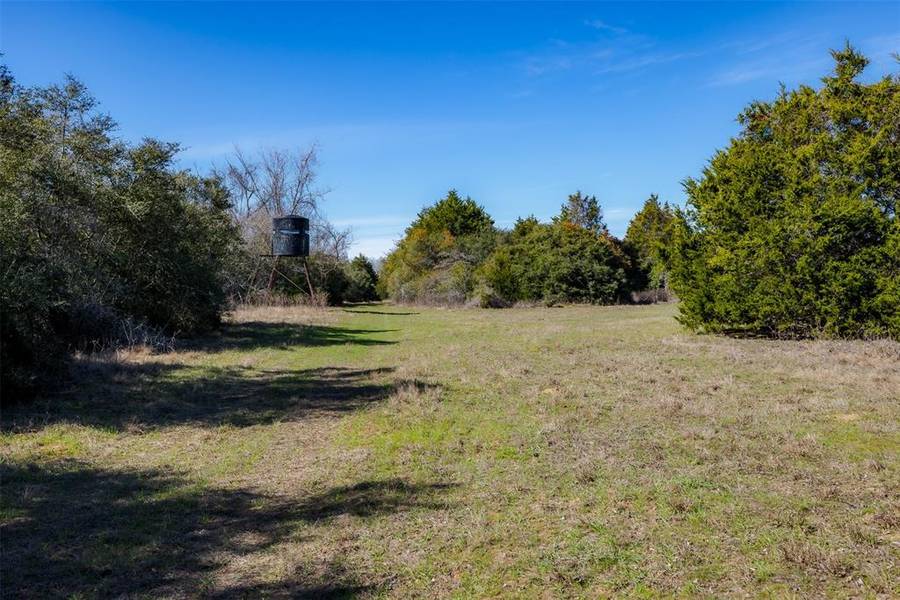 1589 Jeddo RD, Rosanky, TX 78953