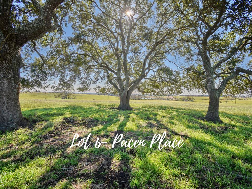 TBD 6 Pacen Place, Chappell Hill, TX 77426