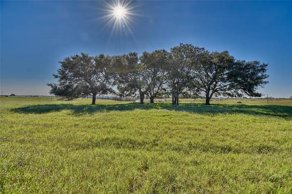 Chappell Hill, TX 77426,TBD 6 Pacen Place