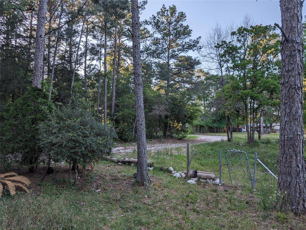 Magnolia, TX 77355,26331 Pinion Creek RD