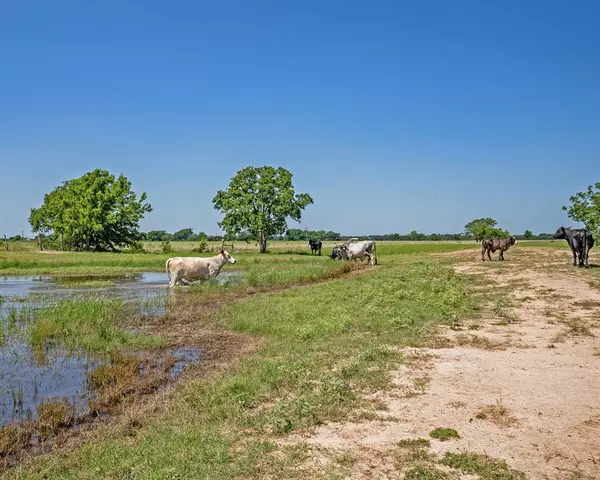 East Bernard, TX 77435,2939 County Road 289