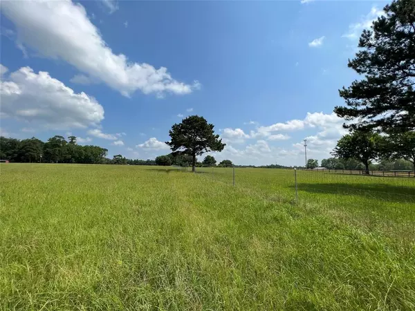 Conroe, TX 77304,0000 tbd Leonidas Horton Rd