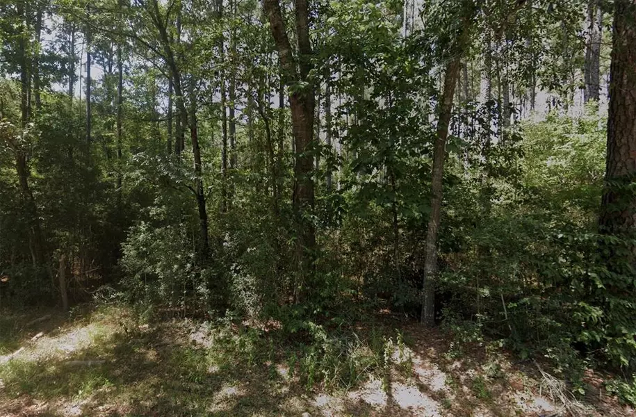 LOT 16 HIDDEN FOREST EST 04, Montgomery, TX 77356