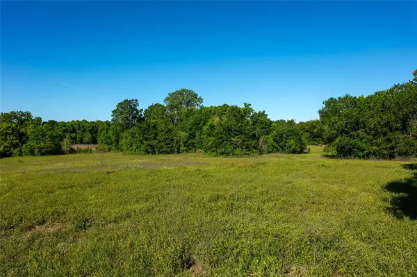 Caldwell, TX 77836,Lot 7A Brazos Court