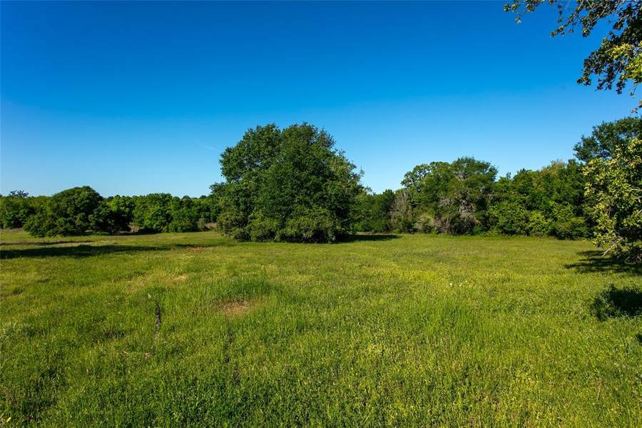 Lot 7A Brazos Court, Caldwell, TX 77836