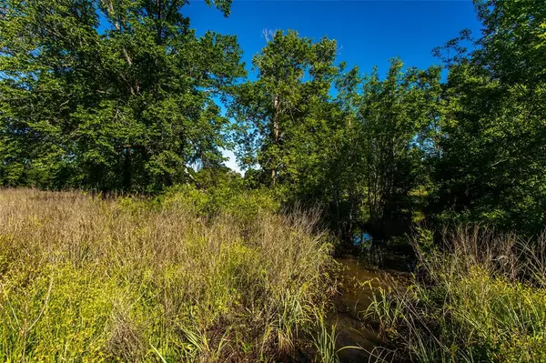 Caldwell, TX 77836,Lot 7A Brazos Court