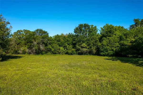 Caldwell, TX 77836,Lot 7A Brazos Court