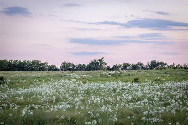 Lot 2A Vineyard View TRL, Carmine, TX 78932