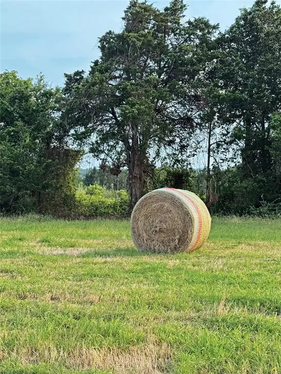 Carmine, TX 78932,Lot 2A Vineyard View TRL