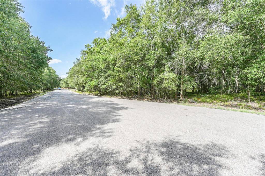 Damon, TX 77430,20687 Live Oak DR