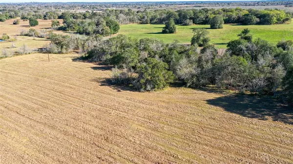 Bedias, TX 77831,Lot 7 County Rd 229