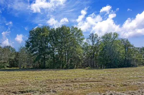 Lot 7 County Rd 229, Bedias, TX 77831