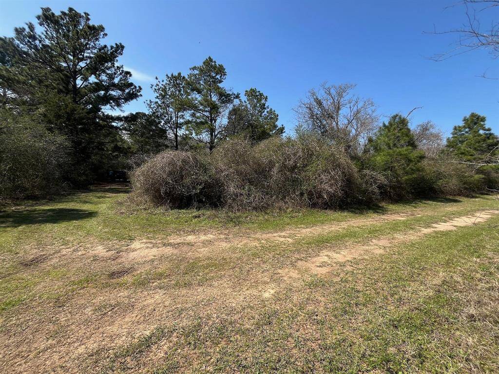 Hempstead, TX 77445,0 Hummingbird LN