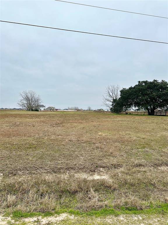 1425 Palomino TRL, Angleton, TX 77515