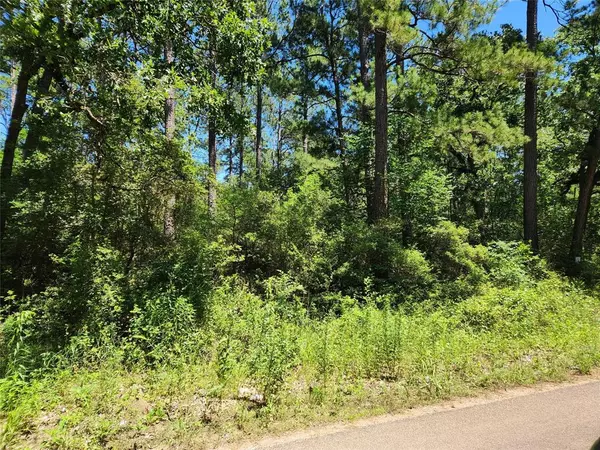 Plantersville, TX 77363,Lot 69 Pinebrook DR