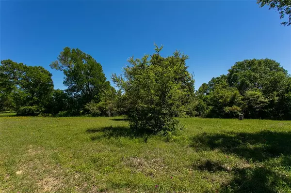 Caldwell, TX 77836,Lot 25 Brazos Court