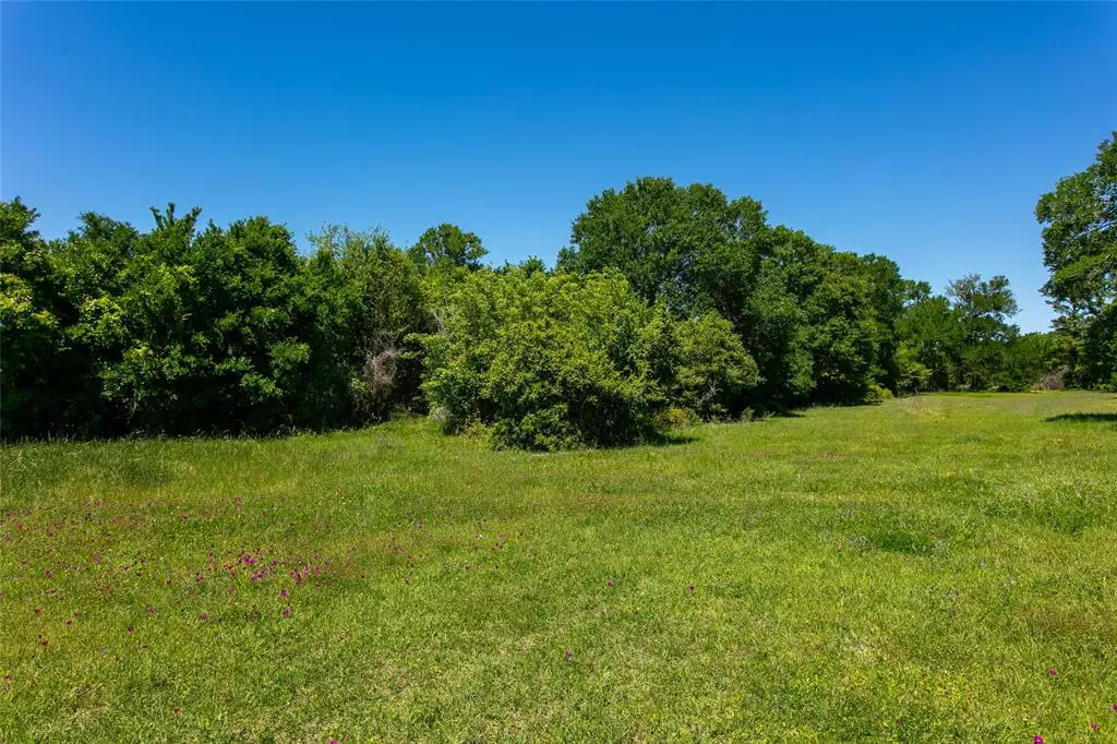 Caldwell, TX 77836,Lot 25 Brazos Court