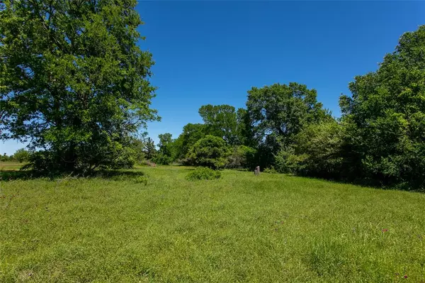 Caldwell, TX 77836,Lot 25 Brazos Court