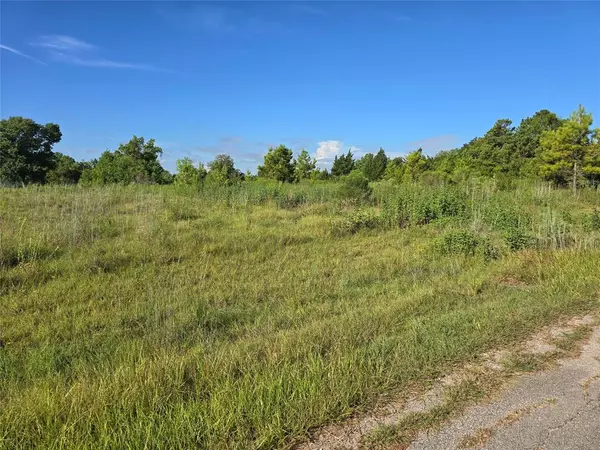 Willis, TX 77318,Lot 9 Lewis Creek CIR