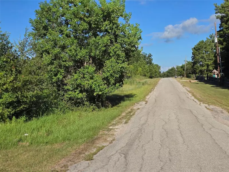 Lot 9 Lewis Creek CIR, Willis, TX 77318