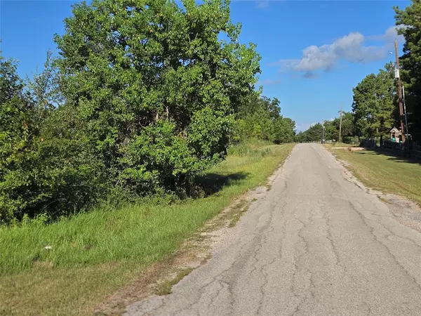 Lot 9 Lewis Creek CIR, Willis, TX 77318