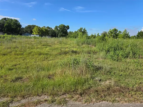 Willis, TX 77318,Lot 9 Lewis Creek CIR