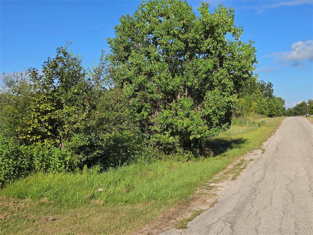 Willis, TX 77318,Lot 9 Lewis Creek CIR